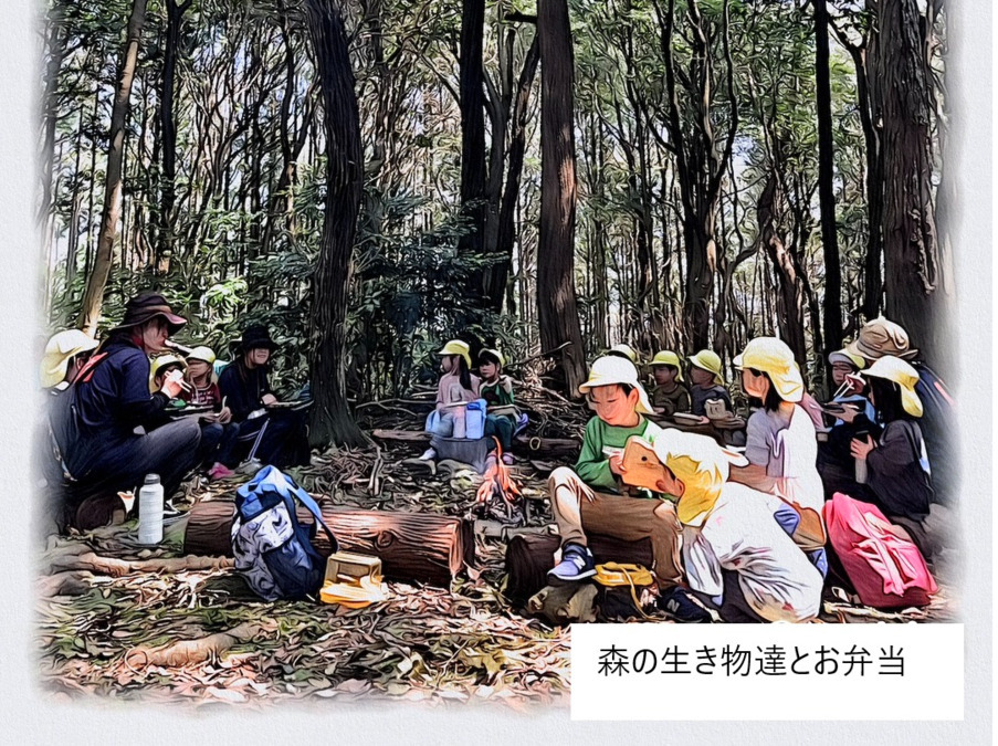 認定こども園 とんぼ保育園(管理栄養士/栄養士の求人)の写真5枚目: