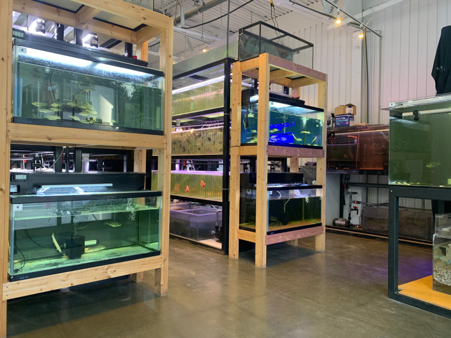 AQUA LAND(サービス管理責任者の求人)の写真3枚目: