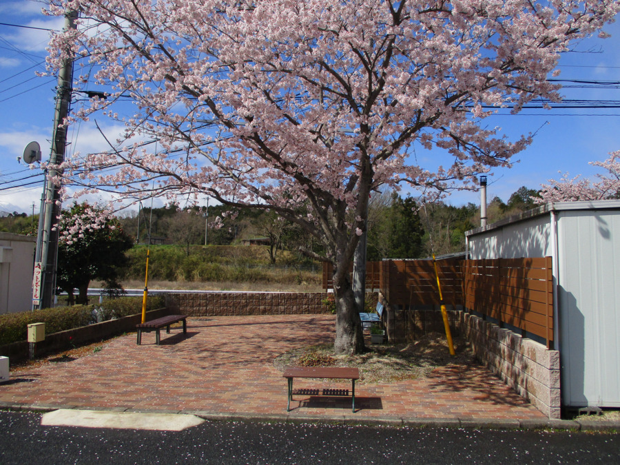 菖蒲の郷 居宅介護支援センター(ケアマネジャーの求人)の写真5枚目:
