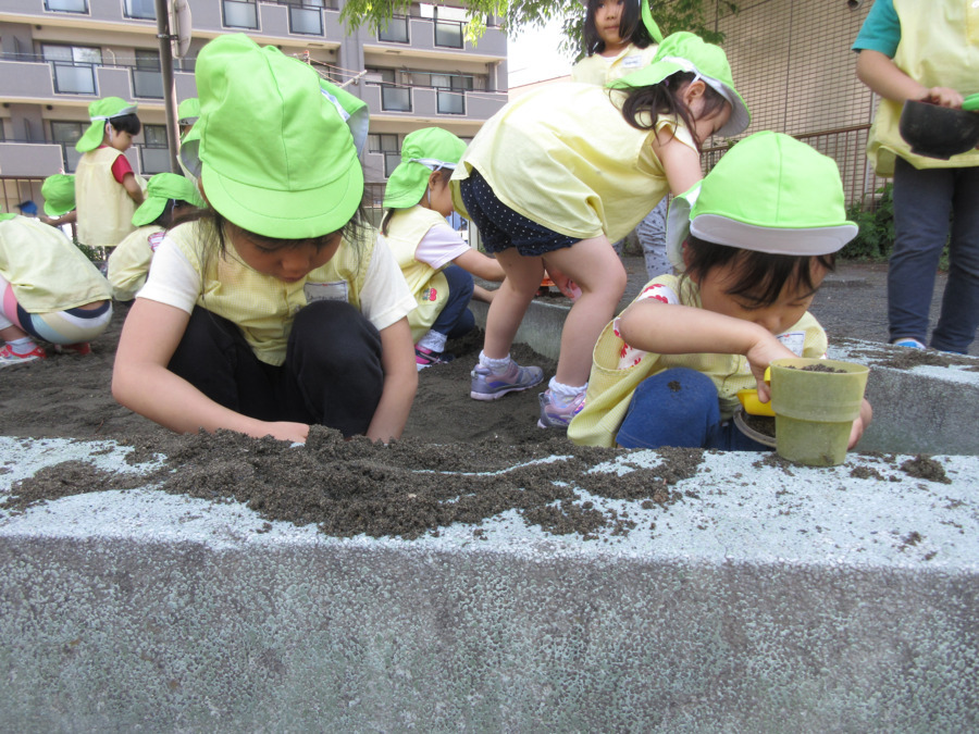 鶴見ポケット保育園（保育士の求人）の写真4枚目：