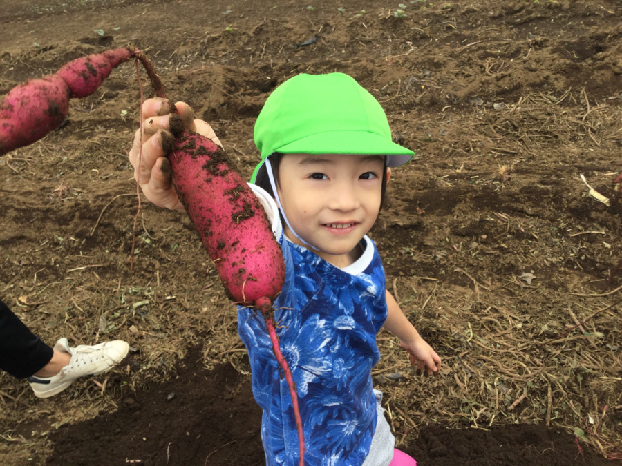 ぽけっとランド南沢(保育士の求人)の写真4枚目: