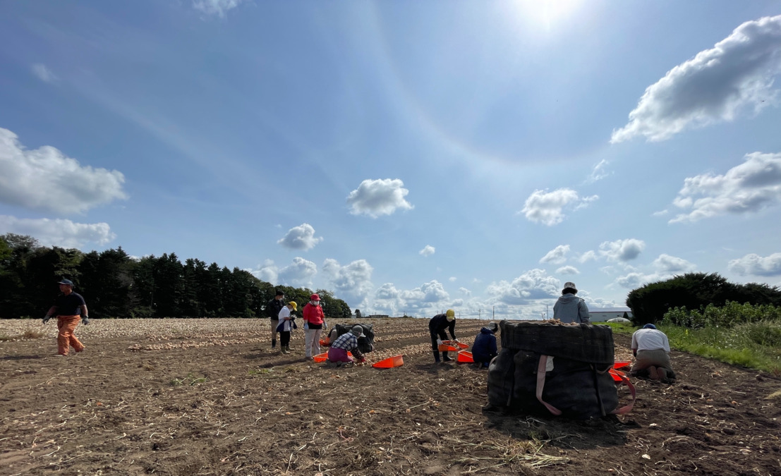 指定障がい者福祉サービス事業所 北広島セルプ(生活支援員の求人)の写真3枚目: