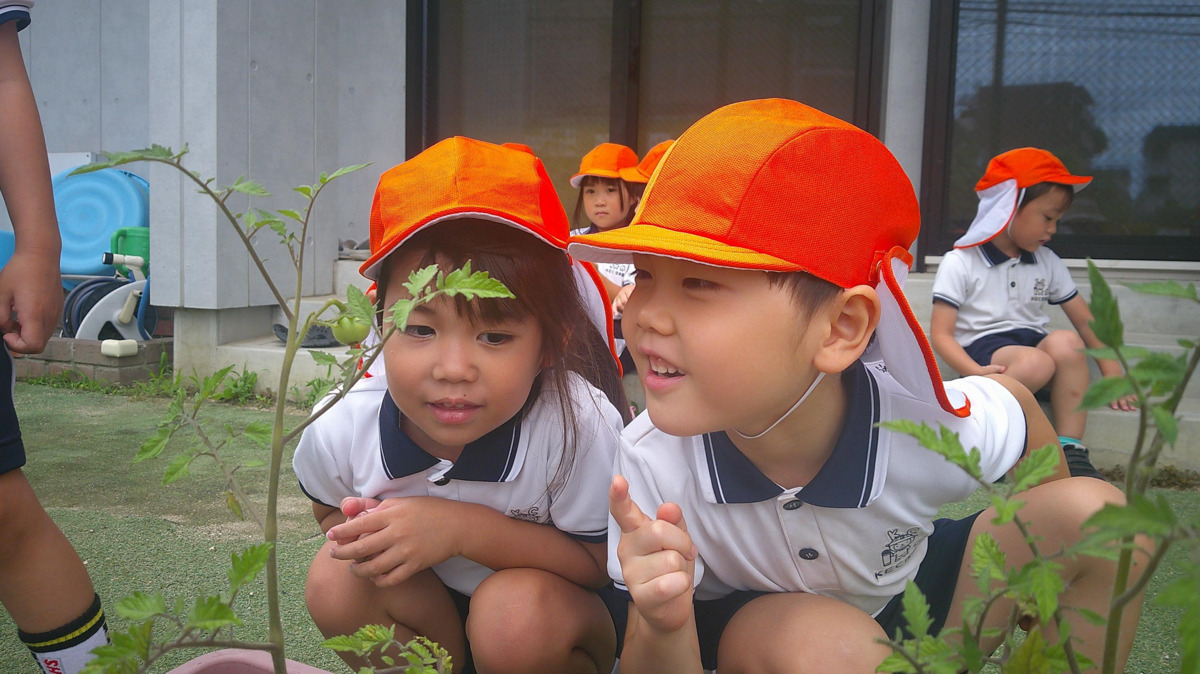 やまと西大寺KEC保育園(保育士の求人)の写真7枚目: