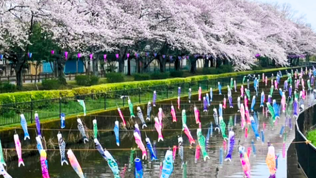 まつしまの家の写真