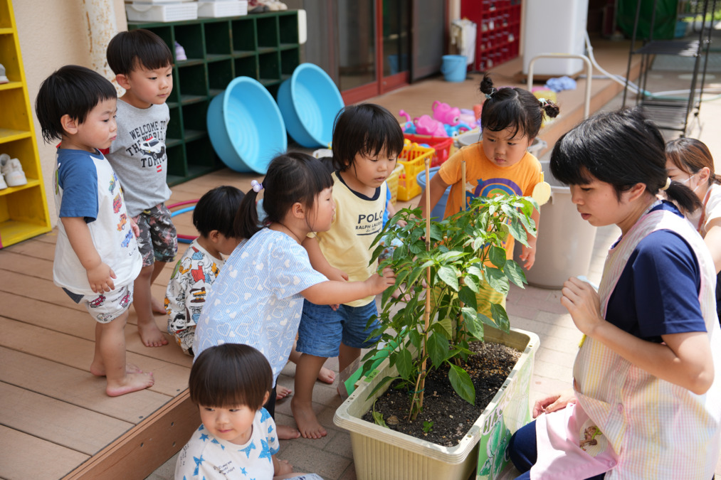 鶴ヶ谷マードレ保育園の写真3枚目:
