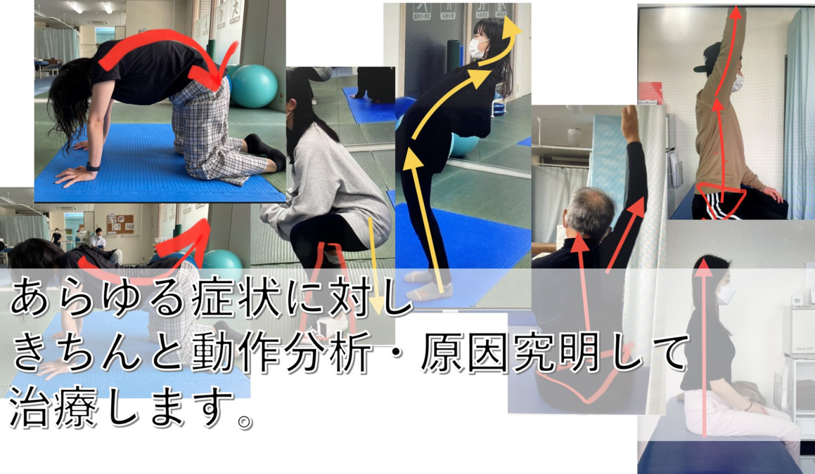 西院FREE整骨院(柔道整復師の求人)の写真: