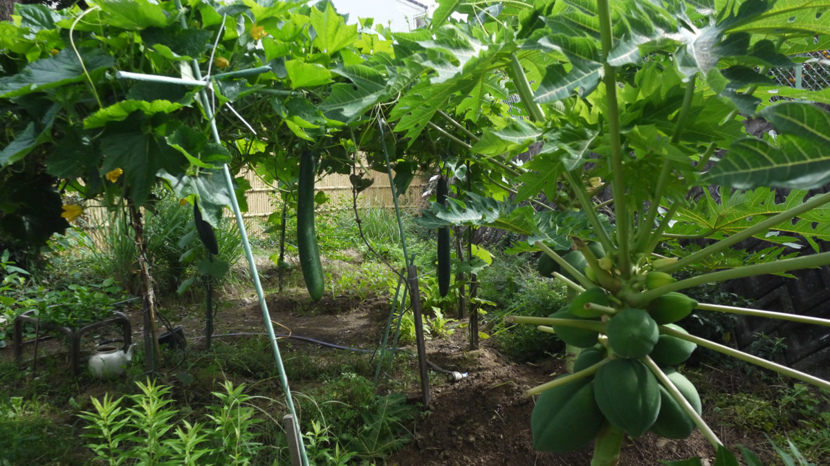 介護老人保健施設　カロス（作業療法士の求人）の写真4枚目：