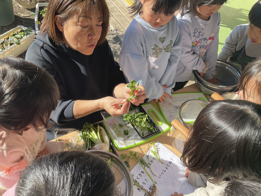 みどり保育園(保育士の求人)の写真2枚目: