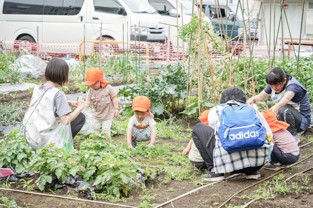第二ゆりの花保育園（保育補助の求人）の写真12枚目：