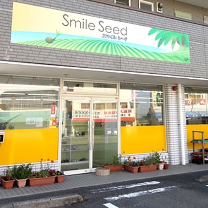放課後等デイサービス スマイルシード青島(児童指導員の求人)の写真: