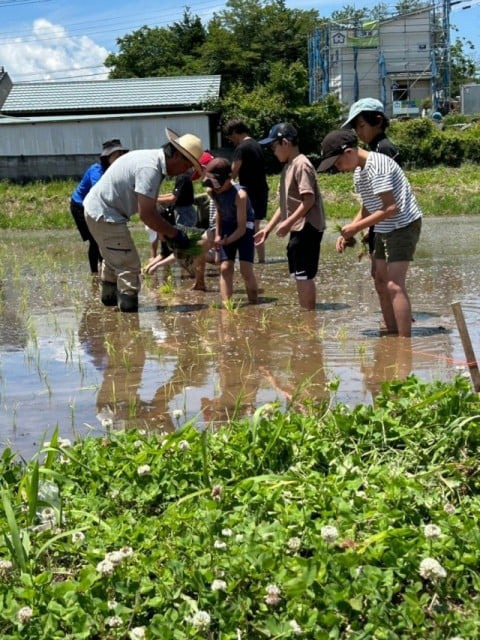 放課後等デイサービスキッズ大国・万力（児童指導員/指導員の求人）の写真5枚目：