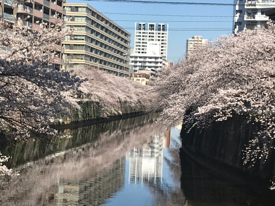 ケアホーム西五反田（ケアマネジャーの求人）の写真3枚目：