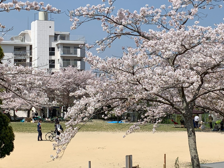 スプリング小倉教室（作業療法士の求人）の写真7枚目：
