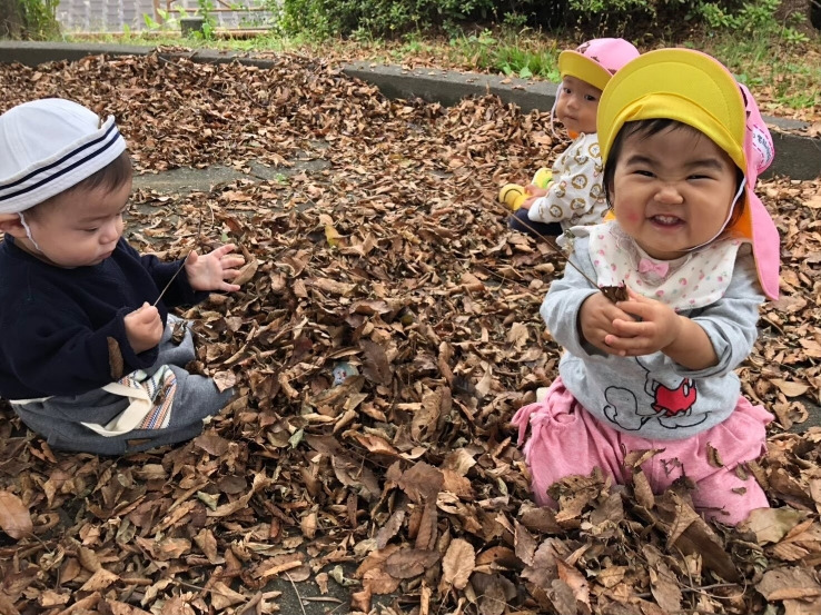モコ宮脇保育園（保育士の求人）の写真2枚目：