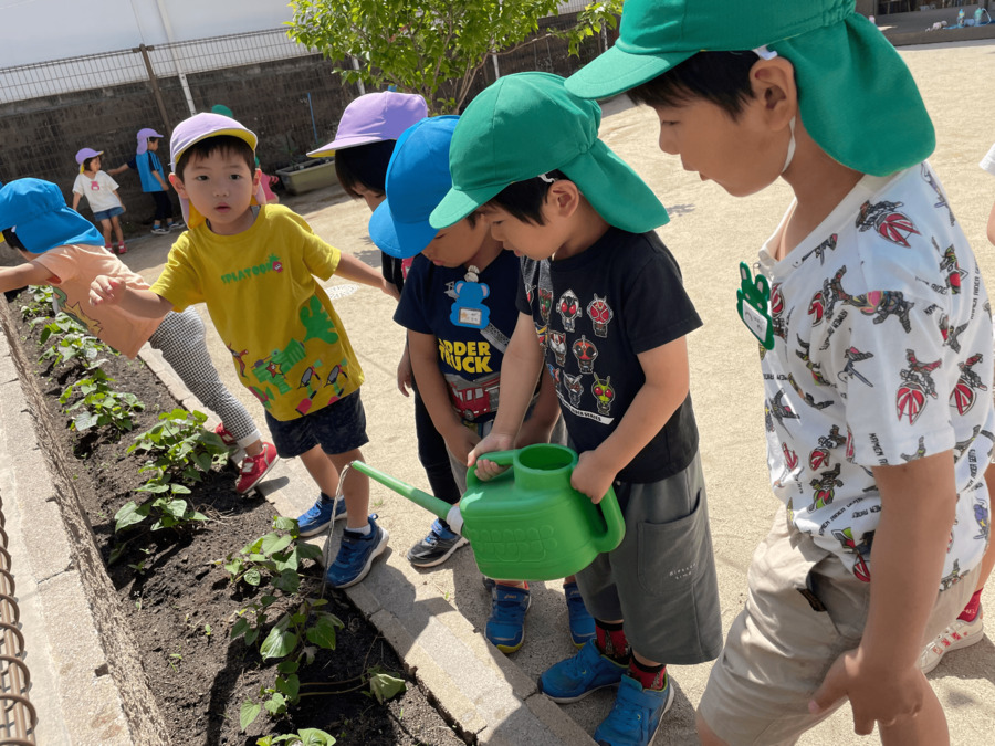 幼保連携型認定こども園　松青こども園の写真7枚目：