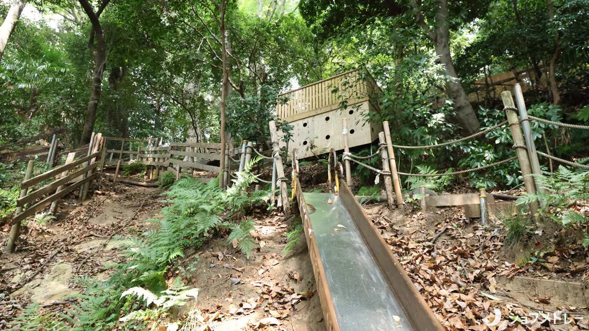 和田愛児園の写真6枚目：自然の中でダイナミックに過ごすことができます