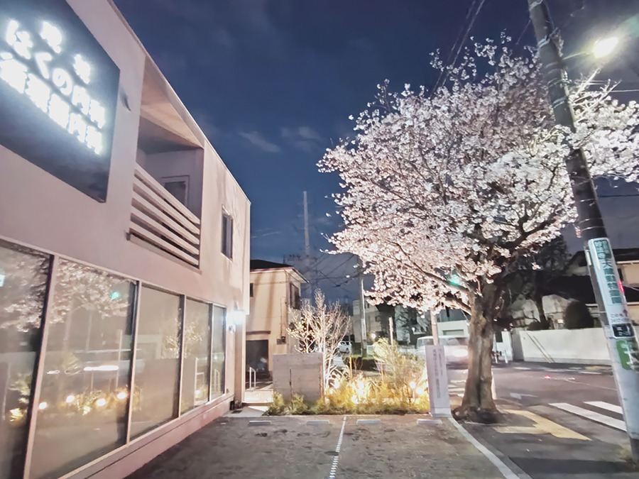 成城はくの内科・循環器内科（医療事務/受付の求人）の写真9枚目：