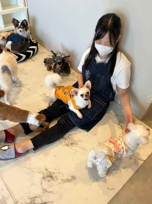 保護犬保護猫ふれあい＆カフェ ANELLA CAFÉイオン浜松西店【2025年09月オープン予定】（サービス管理責任者の求人）の写真2枚目：