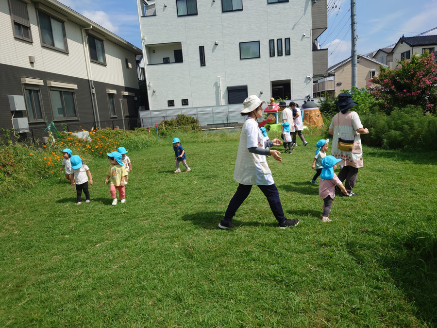 あさしがおかアンジュこども園（保育士の求人）の写真4枚目：芝生の園庭で伸び伸び～