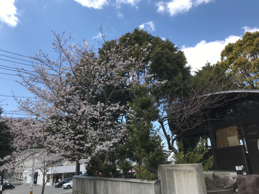 IMLデイサービスセンターリハアクトの写真