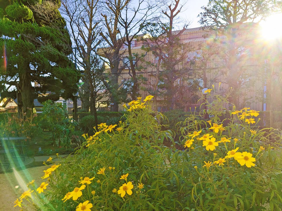 ガーデンカフェ「ときそら」(生活支援員の求人)の写真3枚目: