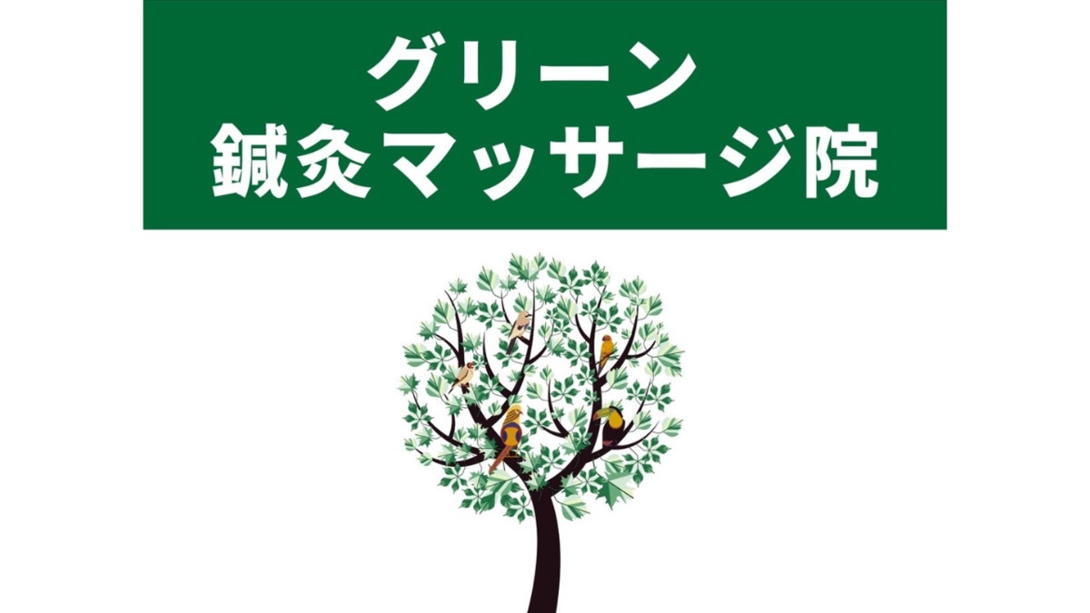 グリーン鍼灸マッサージ院　松戸院【2025年07月22日オープン】（あん摩マッサージ指圧師の求人）の写真4枚目：