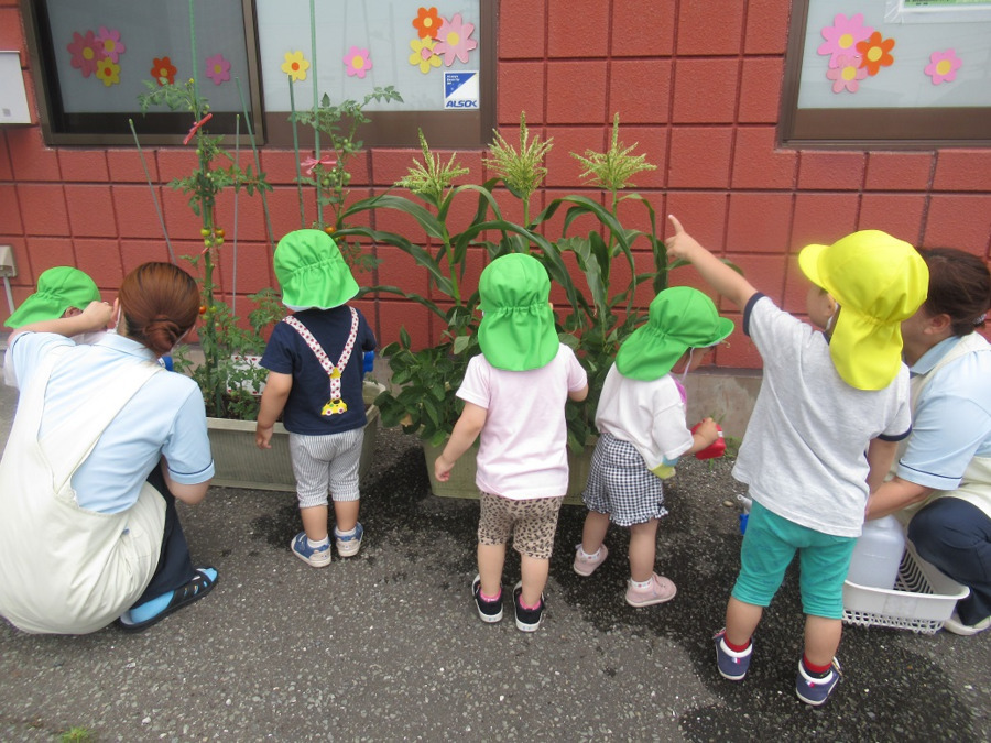 ニチイキッズ佐沼なかえ保育園（保育士の求人）の写真3枚目：