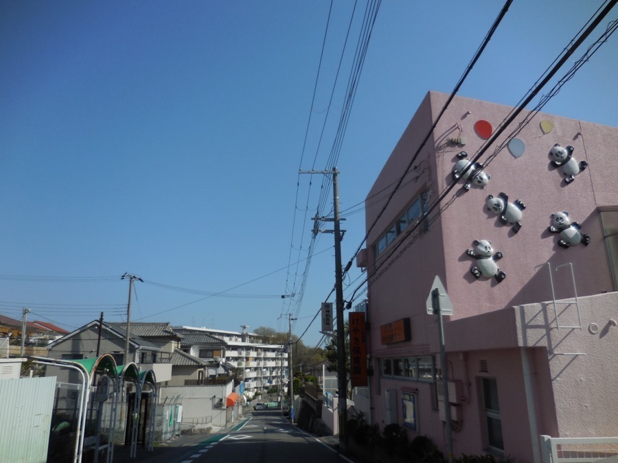 けやき保育園の写真2枚目：