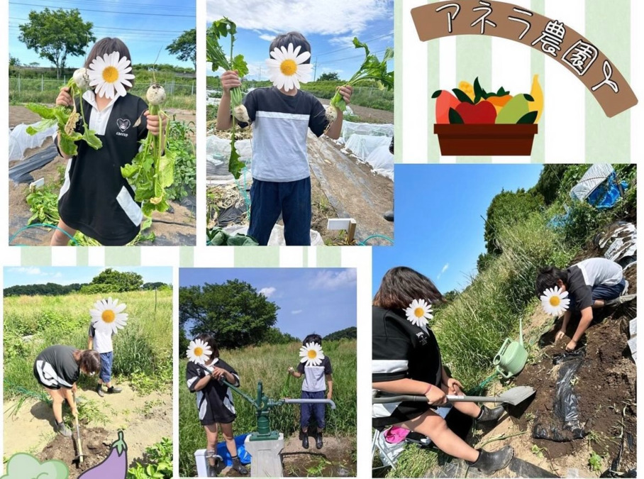 Anelaの写真7枚目：