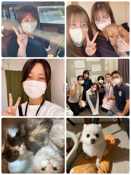訪問看護ステーションcalm和合町の写真2枚目：