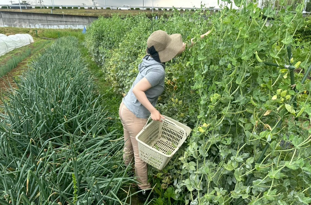 かざぐるま西風（生活支援員の求人）の写真2枚目：
