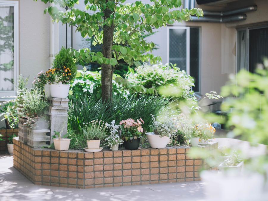 木津芳梅園デイサービス（介護タクシー/ドライバーの求人）の写真5枚目：