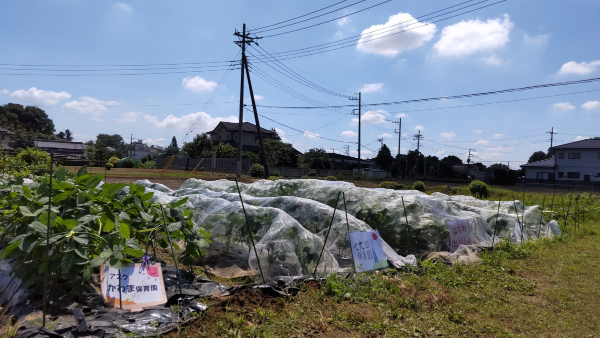 アスク七光台保育園（保育士の求人）の写真5枚目：