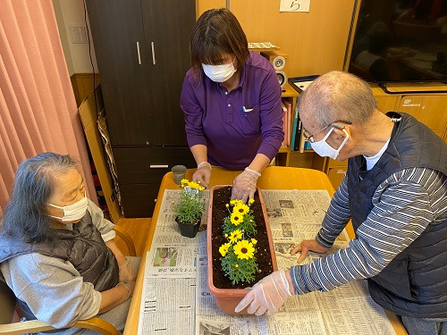 小規模多機能ホームまごころ大久保（介護職/ヘルパーの求人）の写真4枚目：花の植え替えをしました✿