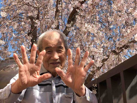 グループホーム向の山の写真