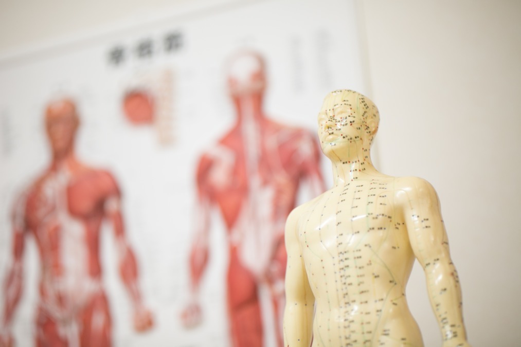 花巻やぎ整骨院(柔道整復師の求人)の写真7枚目: