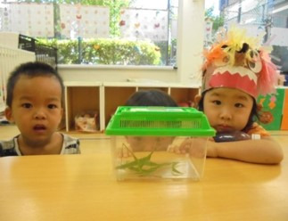 ニチイキッズ今池保育室の写真2枚目：
