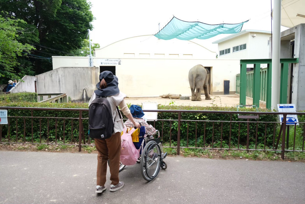 まほろばライフサポート【2025年04月01日オープン】(介護職/ヘルパーの求人)の写真2枚目:移動支援で、王子動物園に行きました!