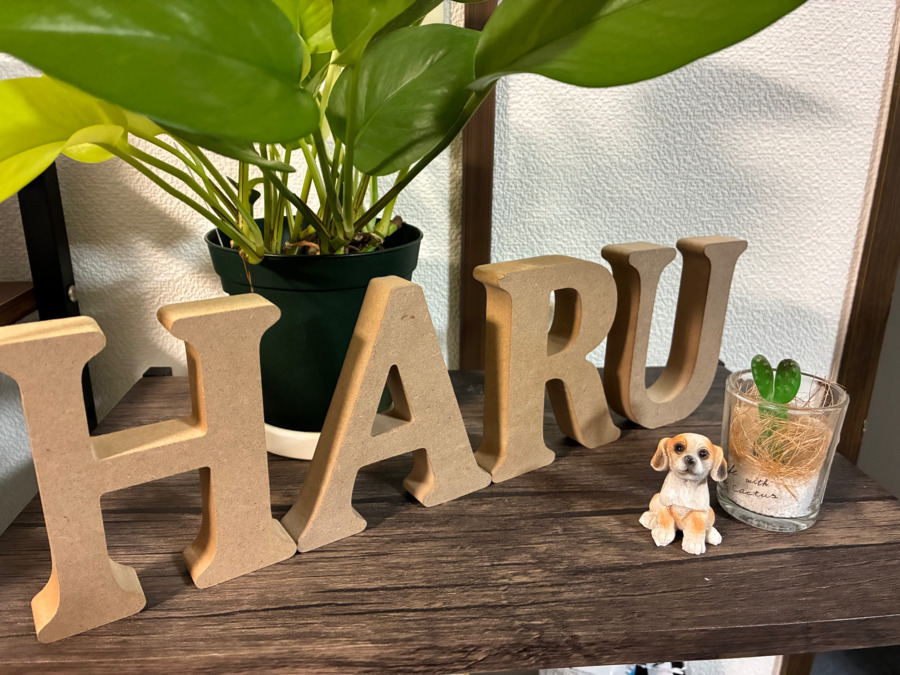 陽～はる～訪問看護ステーション【2025年01月01日オープン】（看護師/准看護師の求人）の写真4枚目：