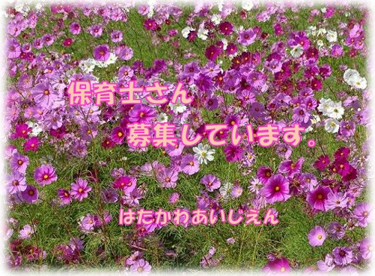 秦川愛児園の写真