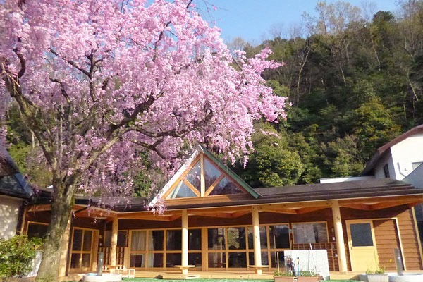 聖光幼稚園(幼稚園教諭の求人)の写真: