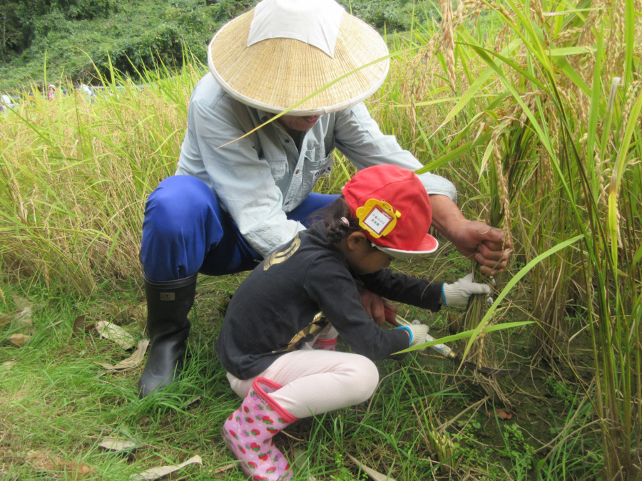 小雀みどり保育園(保育士の求人)の写真9枚目: