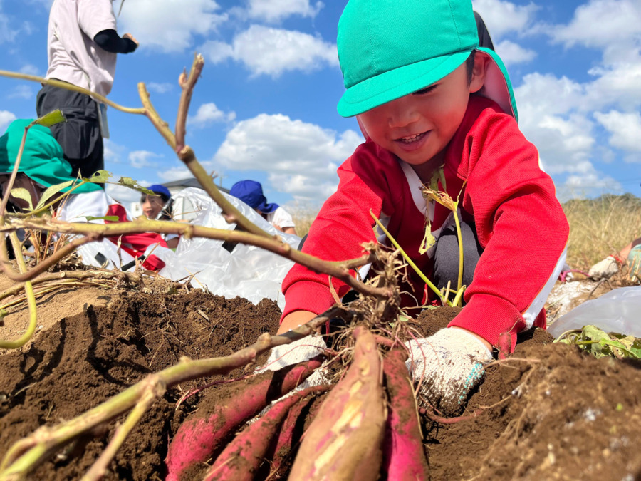thanka幼稚園のだほくぶ【2025年04月オープン】（管理栄養士/栄養士の求人）の写真5枚目：
