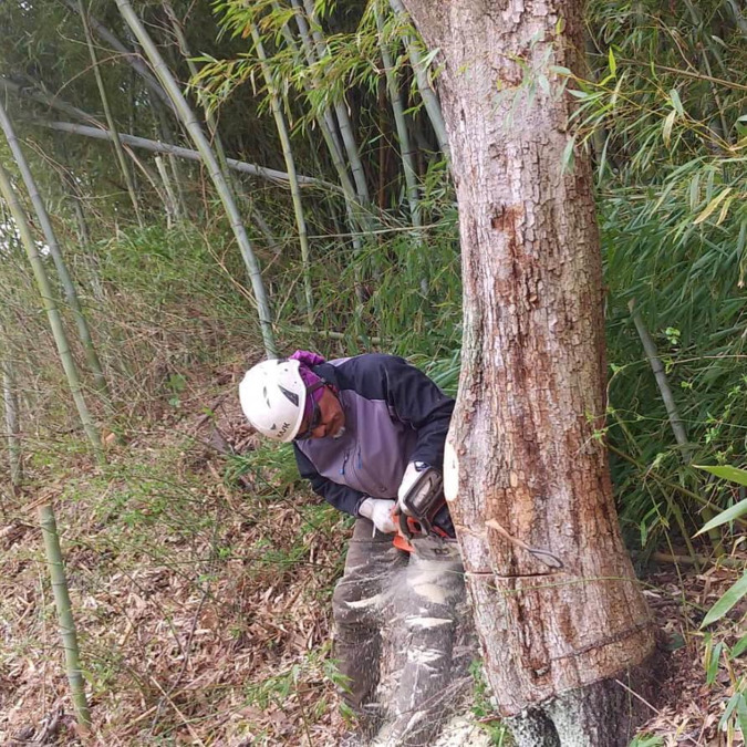 わっこ谷の山福農林舎の写真7枚目：