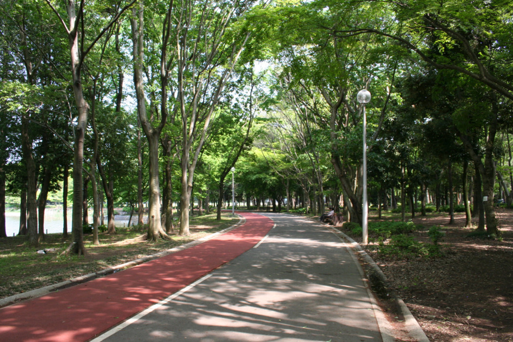 株式会社東京アスレティッククラブ つくば市洞峰公園の写真5枚目：