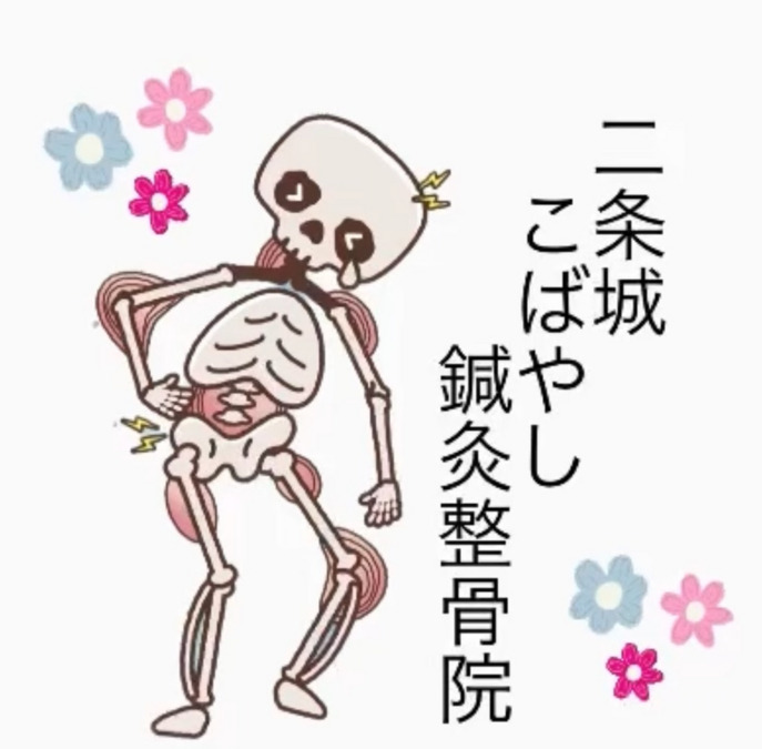 二条城こばやし鍼灸整骨院（柔道整復師の求人）の写真6枚目：