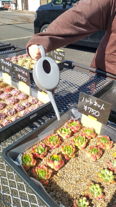 就労継続支援B型事業所リッシュ(サービス管理責任者の求人)の写真6枚目: