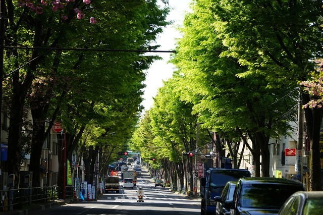 エフリオ訪問看護・定期巡回ステーションの写真2枚目：