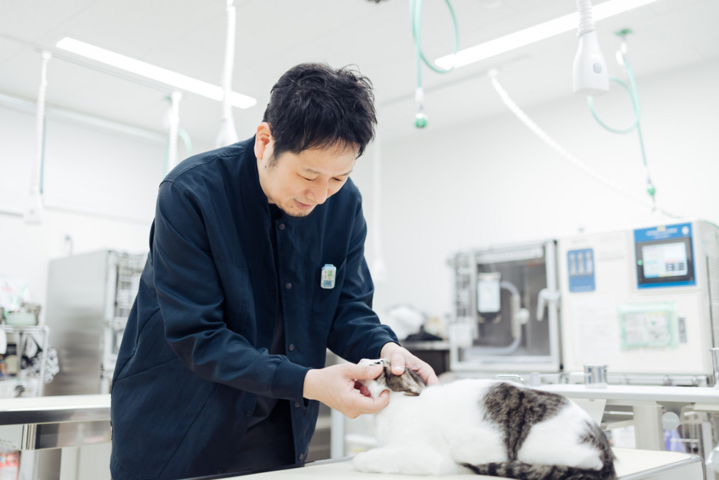 松原動物病院(薬剤師の求人)の写真3枚目: