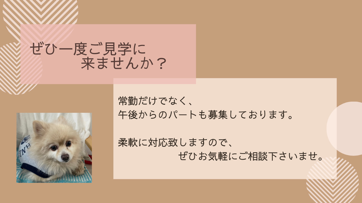 医療法人社団ゆうみらい歯会 有田歯科医院 （歯科衛生士の求人）の写真11枚目：